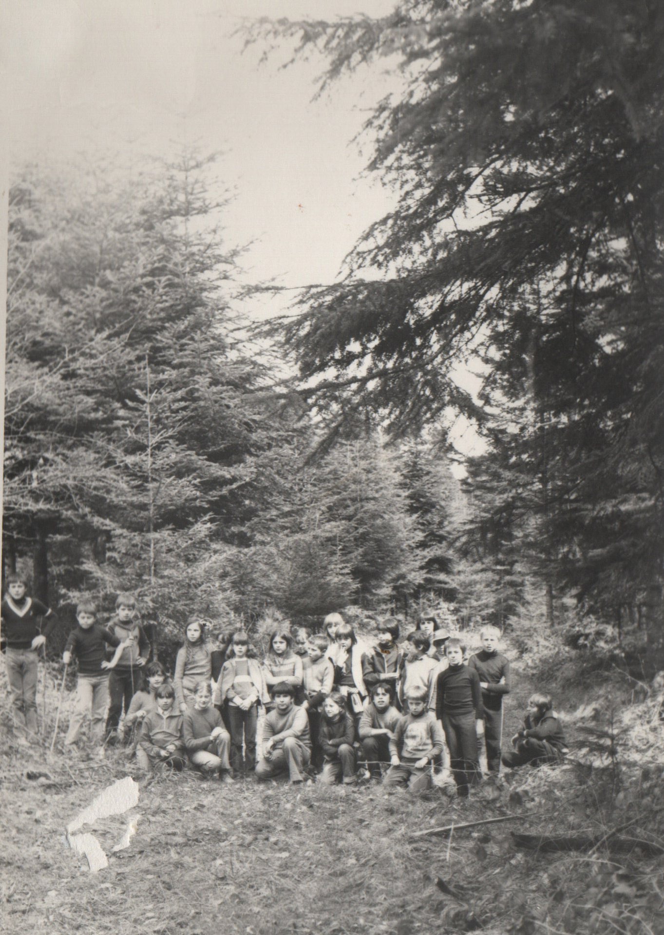 École Primaire Joliot-Curie