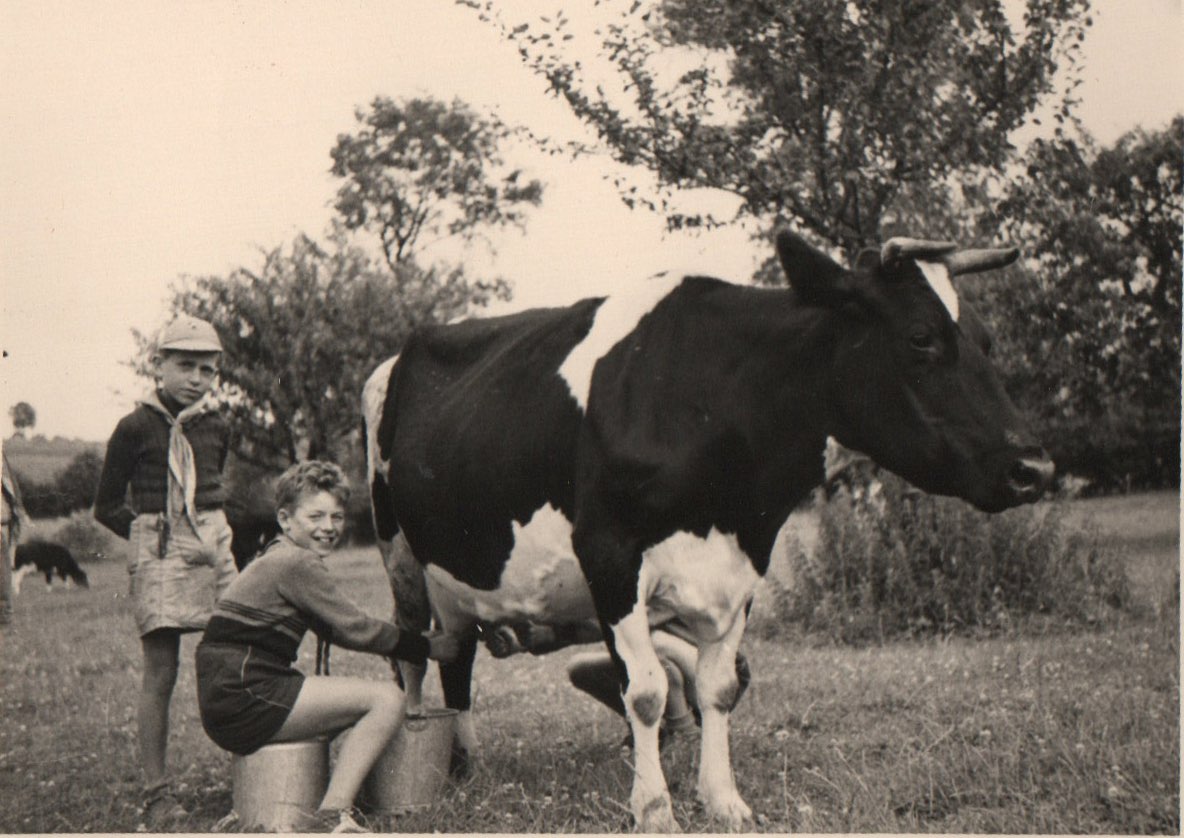 Enfants dans la nature