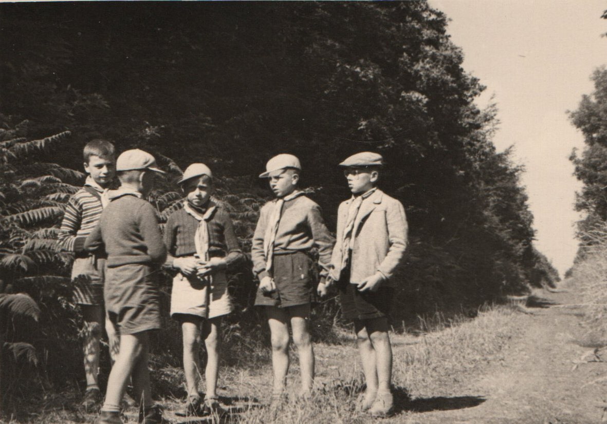 Enfants dans la nature
