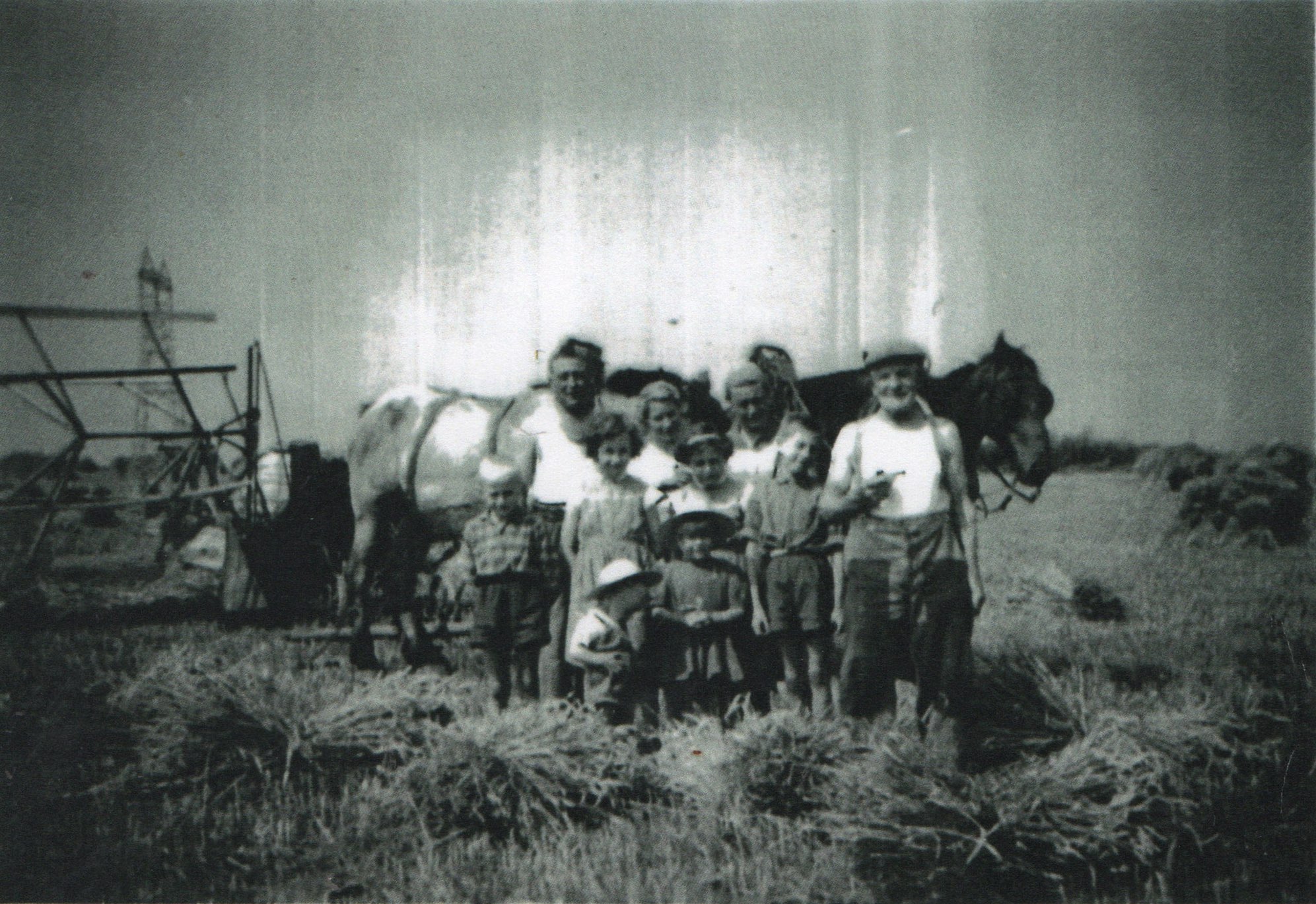 Agriculture