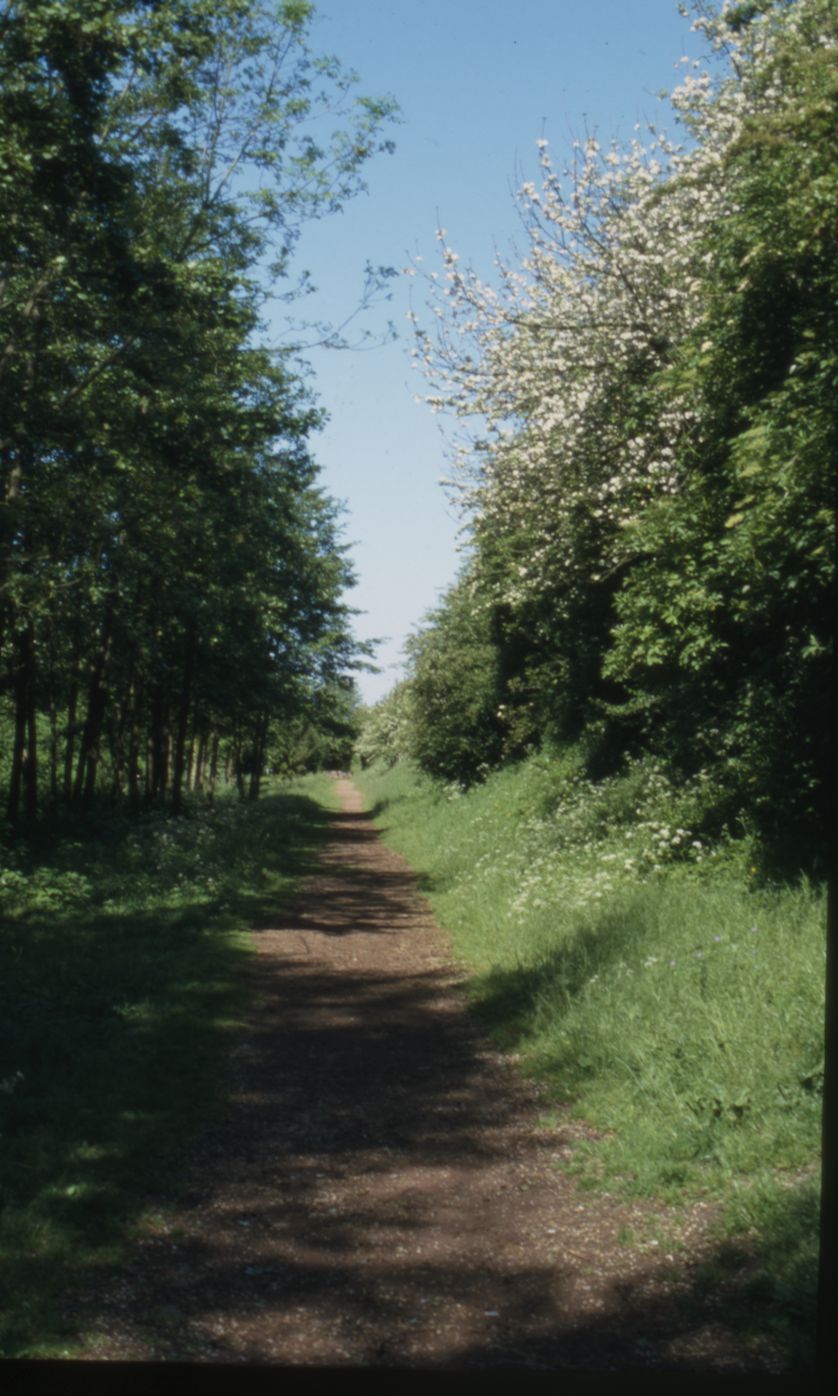 La Ligne