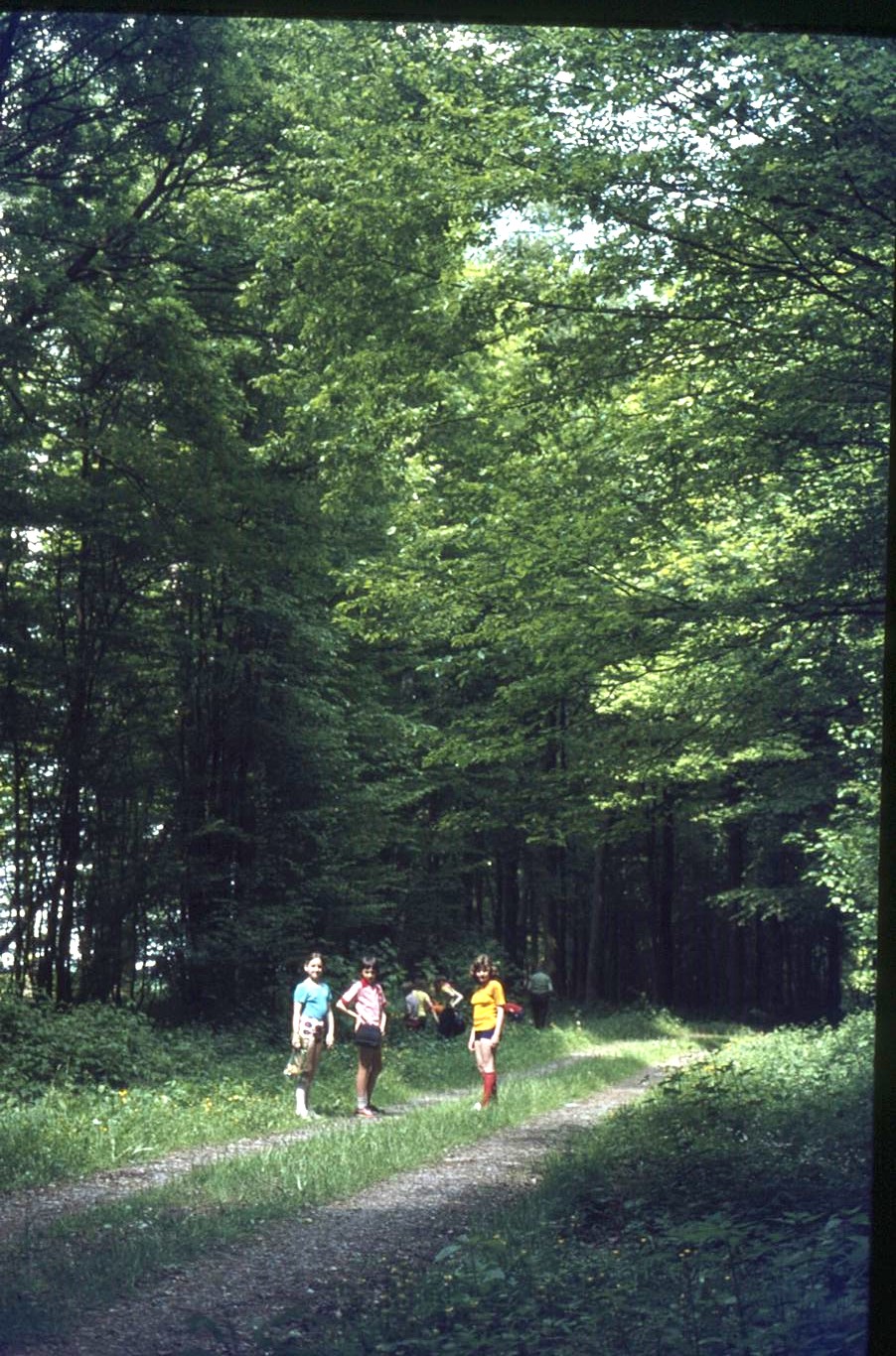 Classe nature CM2 organisée par l'association des parents d'élèves (27)
