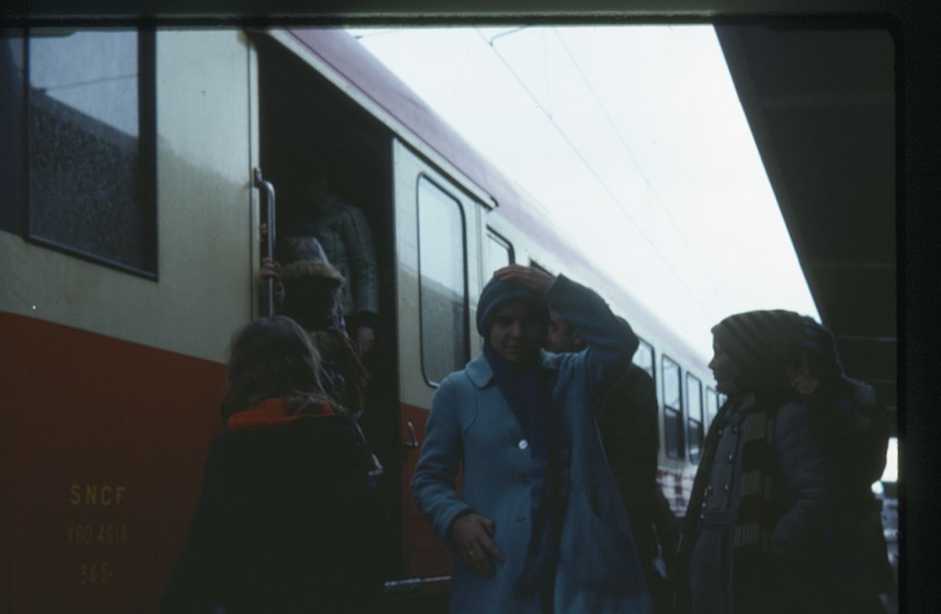 Quinzaine de la découverte (2)