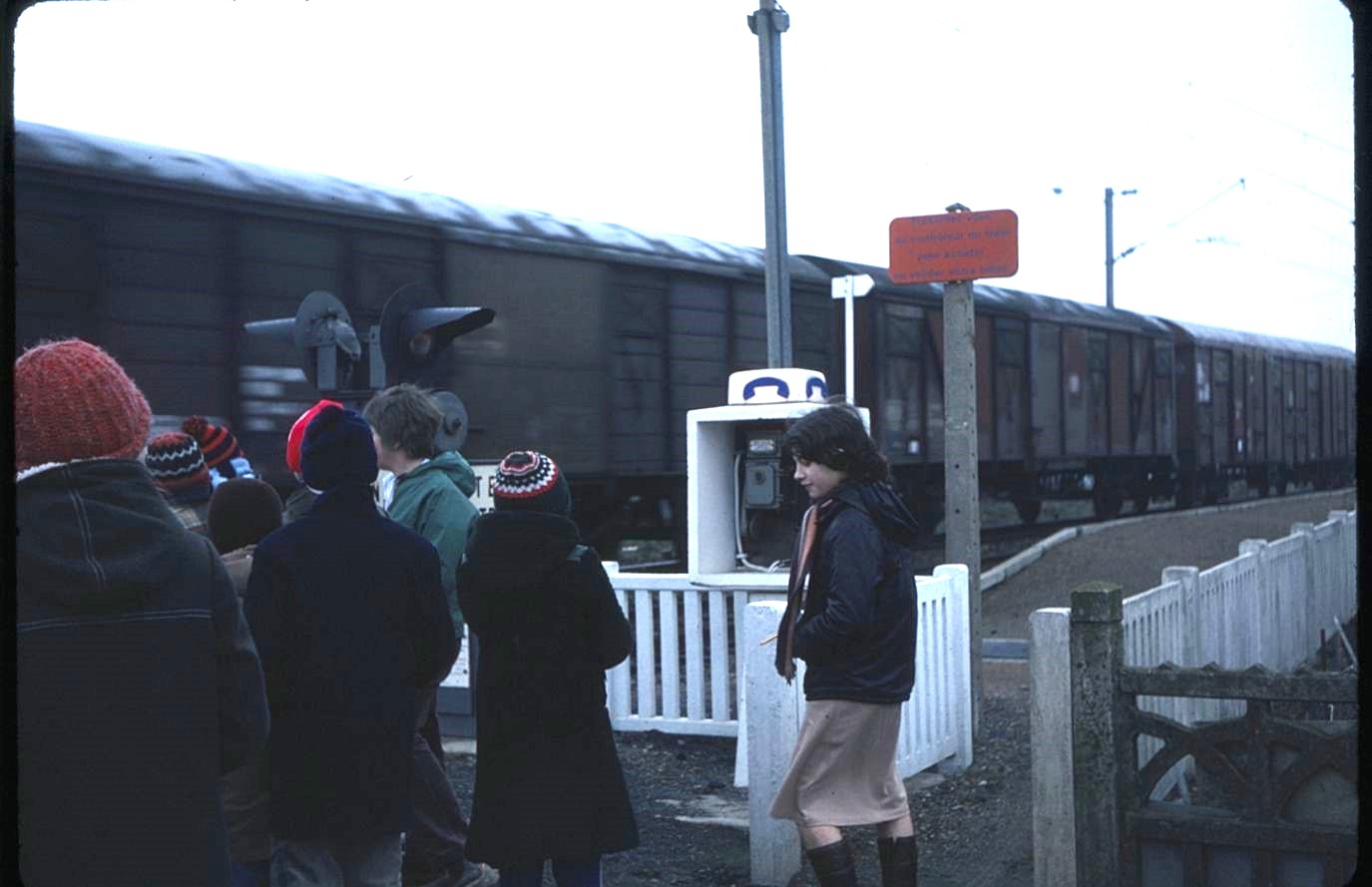 Quinzaine de la découverte (6)