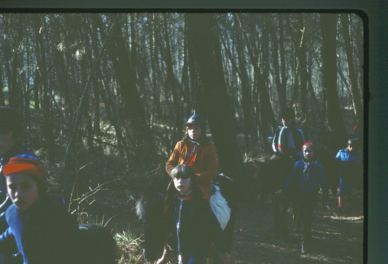 Classe verte à Cucq (81)