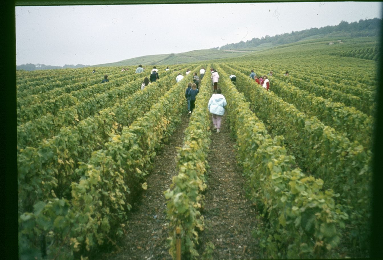 La Champagne (13)